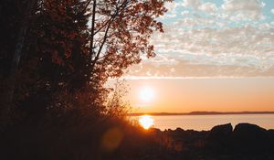 Preview wallpaper lake, sunset, trees, sky, horizon, branches, grass