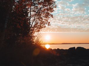 Preview wallpaper lake, sunset, trees, sky, horizon, branches, grass