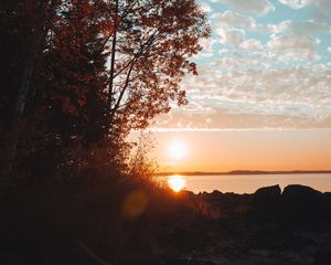 Preview wallpaper lake, sunset, trees, sky, horizon, branches, grass