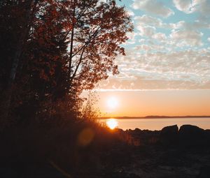 Preview wallpaper lake, sunset, trees, sky, horizon, branches, grass