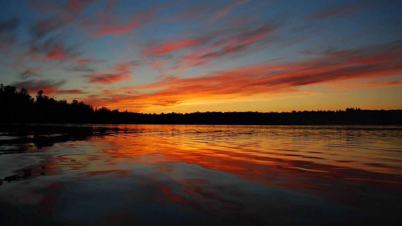 Wallpaper lake, sunset, water, forest, trees, dark