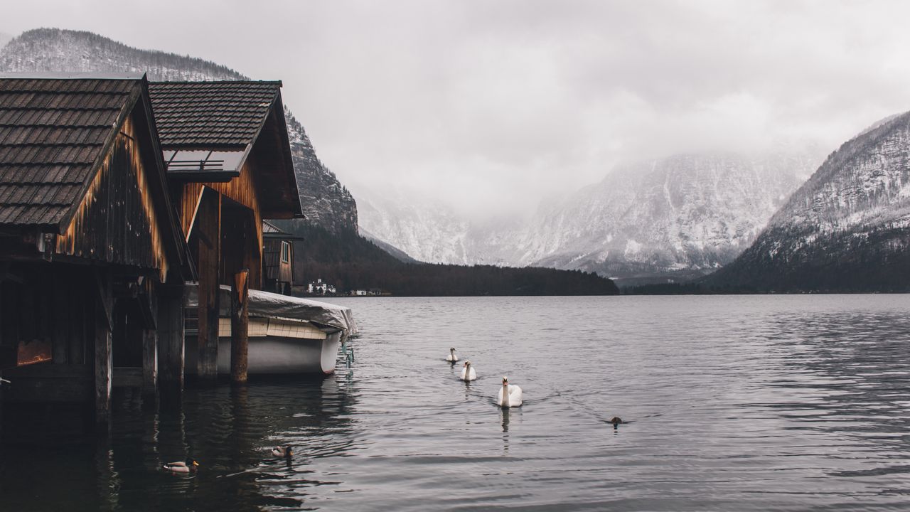 Wallpaper lake, swans, mountains, house, boat