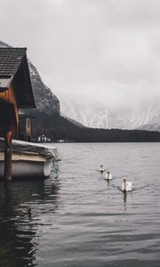 Preview wallpaper lake, swans, mountains, house, boat