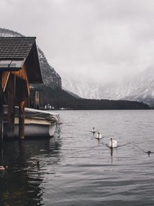 Preview wallpaper lake, swans, mountains, house, boat