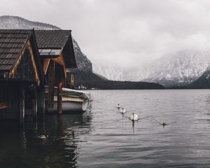 Preview wallpaper lake, swans, mountains, house, boat