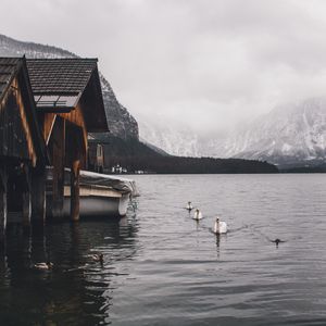 Preview wallpaper lake, swans, mountains, house, boat