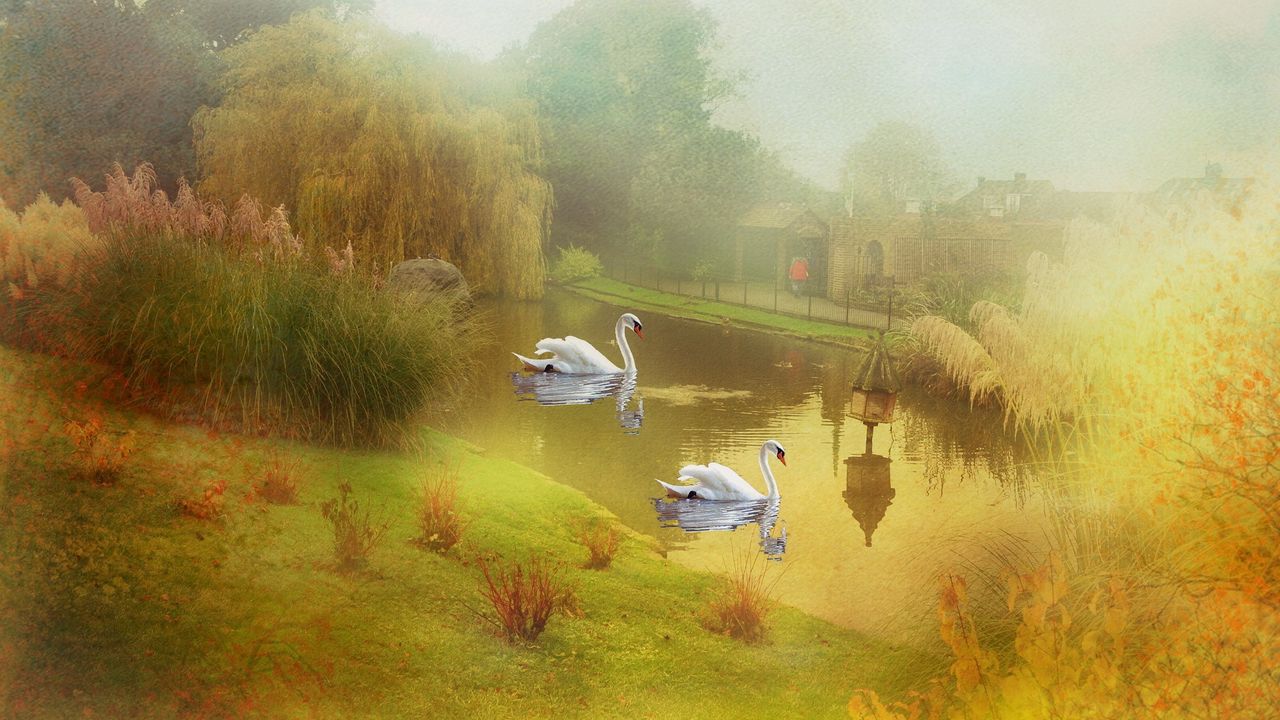 Wallpaper lake, swans, style