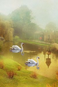 Preview wallpaper lake, swans, style