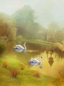 Preview wallpaper lake, swans, style