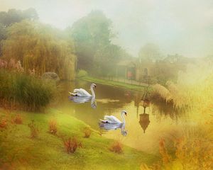 Preview wallpaper lake, swans, style