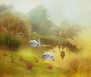 Preview wallpaper lake, swans, style