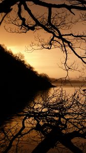 Preview wallpaper lake, tree, branches, dusk, dark