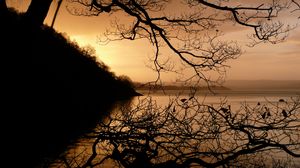 Preview wallpaper lake, tree, branches, dusk, dark