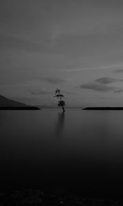 Preview wallpaper lake, tree, lonely, dark, gloomy, bw