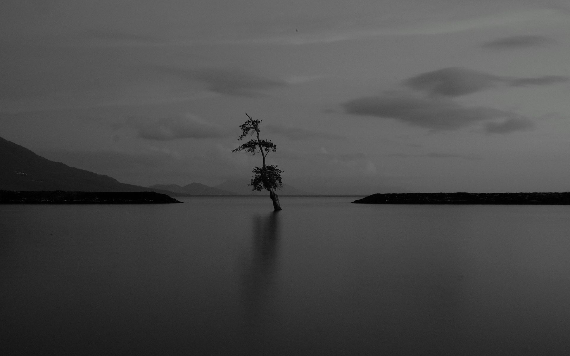 Download wallpaper 1920x1200 lake, tree, lonely, dark, gloomy, bw