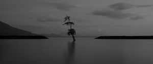 Preview wallpaper lake, tree, lonely, dark, gloomy, bw