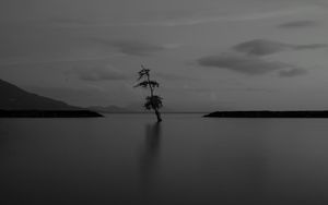 Preview wallpaper lake, tree, lonely, dark, gloomy, bw