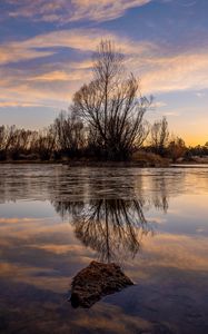 Preview wallpaper lake, tree, reflection, water, dusk, nature