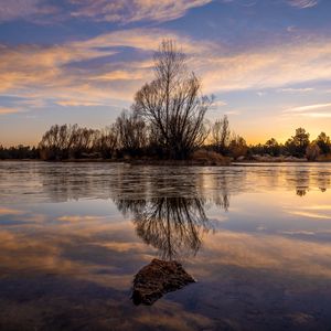 Preview wallpaper lake, tree, reflection, water, dusk, nature