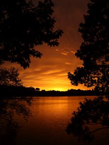 Preview wallpaper lake, tree, sunset, branches, horizon, sky, landscape