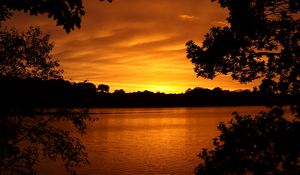 Preview wallpaper lake, tree, sunset, branches, horizon, sky, landscape