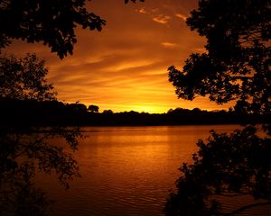 Preview wallpaper lake, tree, sunset, branches, horizon, sky, landscape