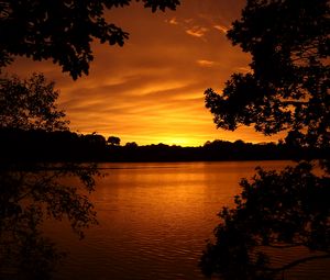 Preview wallpaper lake, tree, sunset, branches, horizon, sky, landscape