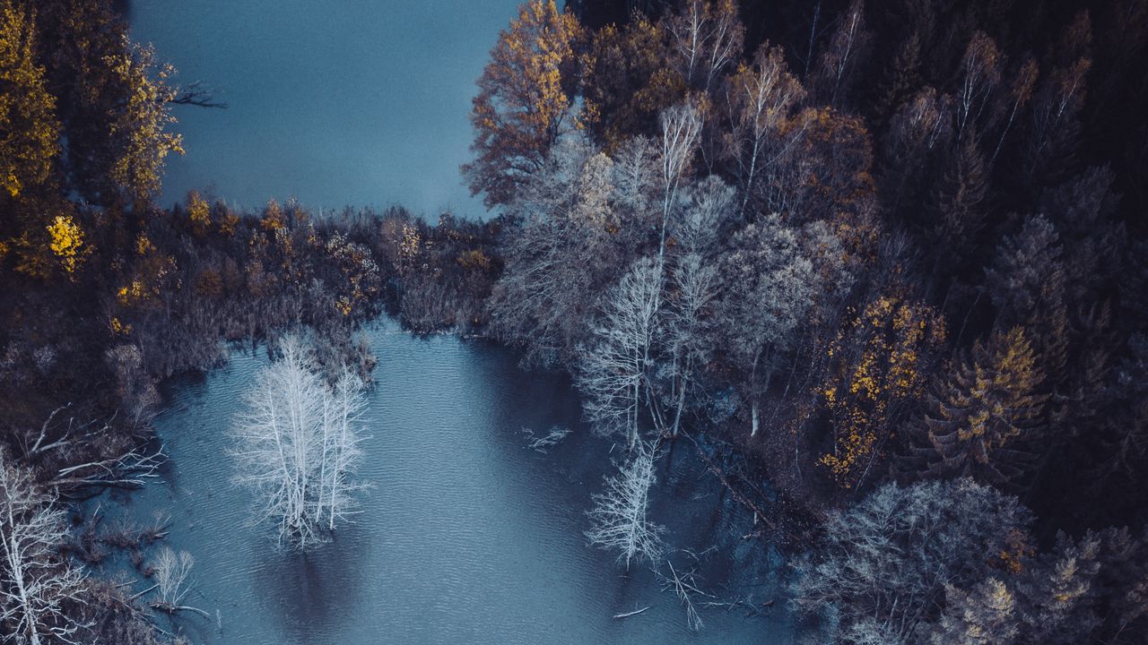 Wallpaper lake, trees, aerial view, autumn, frost