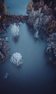 Preview wallpaper lake, trees, aerial view, autumn, frost