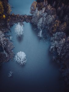 Preview wallpaper lake, trees, aerial view, autumn, frost