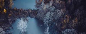 Preview wallpaper lake, trees, aerial view, autumn, frost