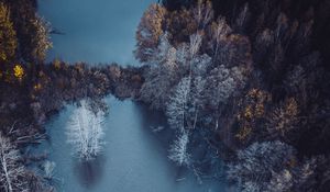 Preview wallpaper lake, trees, aerial view, autumn, frost