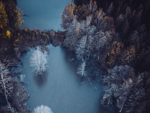 Preview wallpaper lake, trees, aerial view, autumn, frost