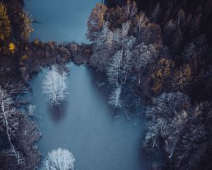 Preview wallpaper lake, trees, aerial view, autumn, frost