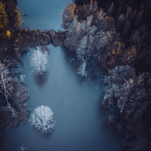 Preview wallpaper lake, trees, aerial view, autumn, frost