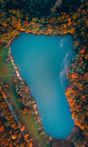 Preview wallpaper lake, trees, aerial view, autumn, hungary