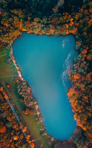 Preview wallpaper lake, trees, aerial view, autumn, hungary