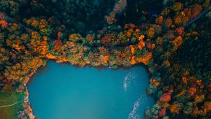 Preview wallpaper lake, trees, aerial view, autumn, hungary