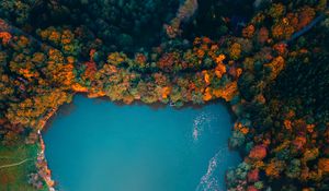 Preview wallpaper lake, trees, aerial view, autumn, hungary