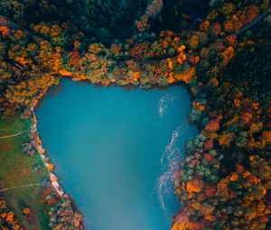 Preview wallpaper lake, trees, aerial view, autumn, hungary
