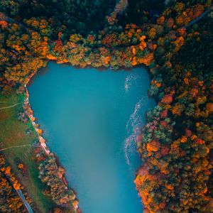 Preview wallpaper lake, trees, aerial view, autumn, hungary