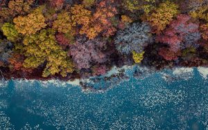 Preview wallpaper lake, trees, aerial view, autumn, autumn colors
