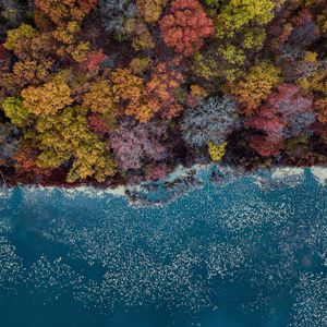 Preview wallpaper lake, trees, aerial view, autumn, autumn colors
