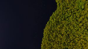 Preview wallpaper lake, trees, aerial view, coast