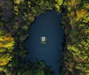 Preview wallpaper lake, trees, aerial view, forest, water