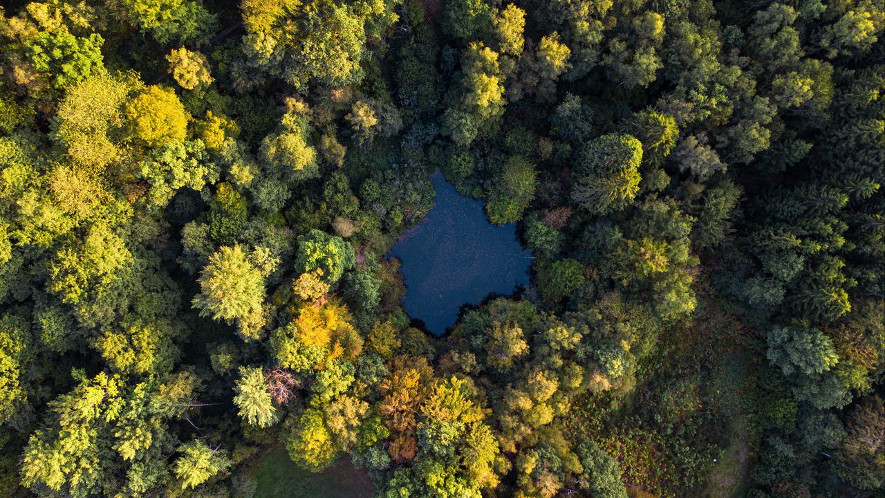 Wallpaper lake, trees, aerial view, forest, water, autumn hd, picture ...