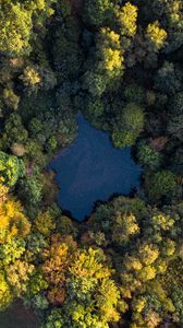 Preview wallpaper lake, trees, aerial view, forest, water, autumn