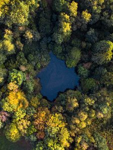 Preview wallpaper lake, trees, aerial view, forest, water, autumn