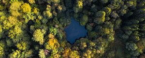 Preview wallpaper lake, trees, aerial view, forest, water, autumn