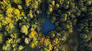 Preview wallpaper lake, trees, aerial view, forest, water, autumn